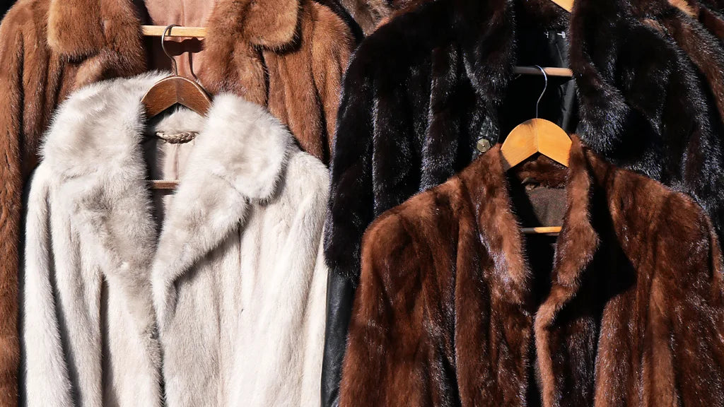 Fur is firmly back in fashion - and even more divisive than ever